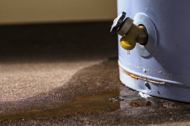 Best Carpet water damage restoration  in Fultonde, AL