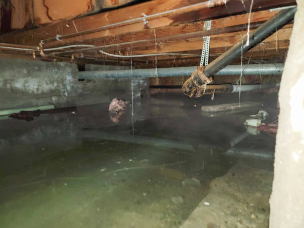 Best Flooded house restoration  in Fultonde, AL