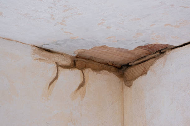Best Commercial water damage restoration  in Fultonde, AL