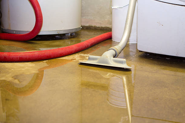 Local water damage restoration