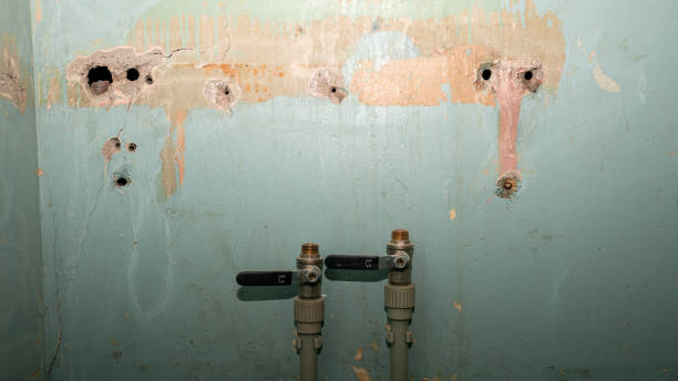Best Mold removal after water damage  in Fultonde, AL