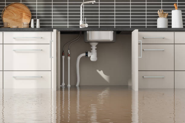 Sewage cleanup and water damage restoration in Fultondale, AL