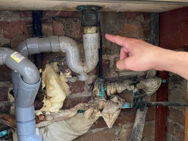 Best Professional water damage repair  in Fultonde, AL