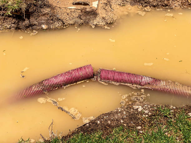  Fultonde, AL Water damage restoration Pros