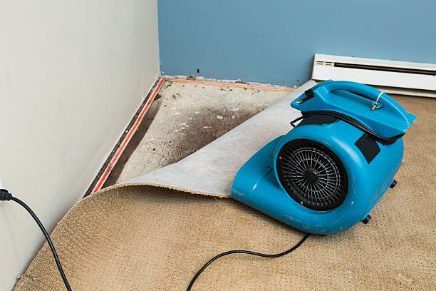 Best Fire Damage Restoration  in Fultonde, AL